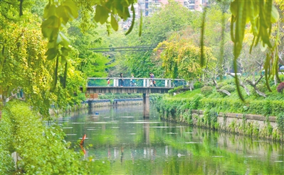 西关古河道驷马涌整治初见成效,重现河畅水清