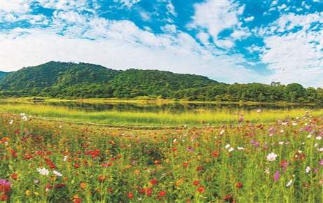 《广州市生物多样性保护行动报告》发布