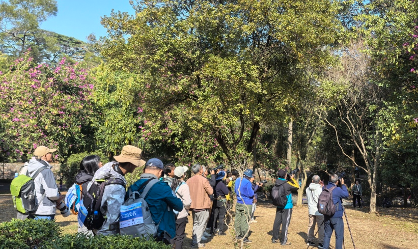 第五届粤港澳三地观鸟大赛在白云山开赛